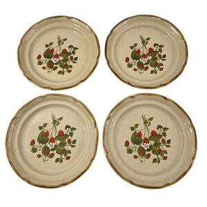 Endura Collection LA FRAISE Strawberries Salad Luncheon Plates – Set of 4